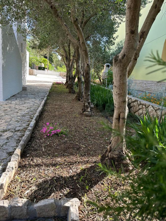 Apartmani Marko Novalja Εξωτερικό φωτογραφία